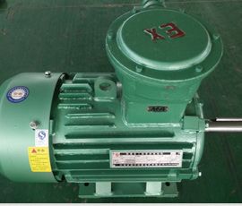 防爆電機 防爆電機