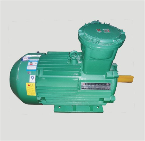 TYBPE隔爆型變頻超高效三相永磁同步電機(jī).jpg TYBPE隔爆型變頻超高效三相永磁同步電機(jī).jpg