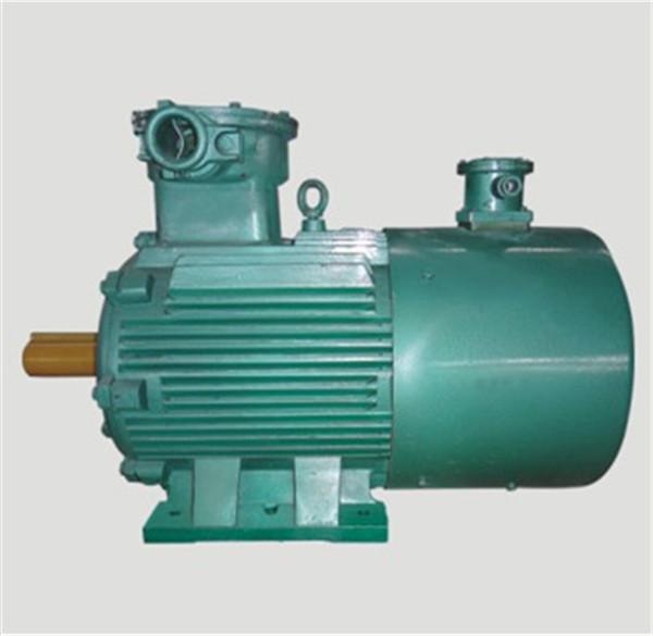 變頻防爆電機 變頻防爆電機