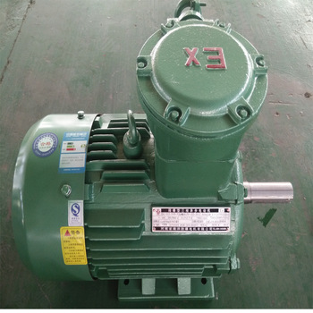 粉塵防爆電機(jī) 粉塵防爆電機(jī)