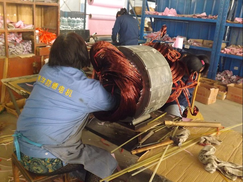 高壓電機(jī)線圈 高壓電機(jī)線圈