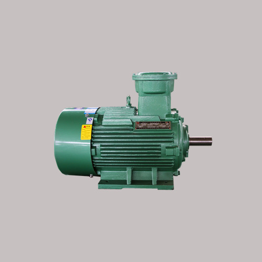 Exd IIC T4防爆電機(jī) Exd IIC T4防爆電機(jī)