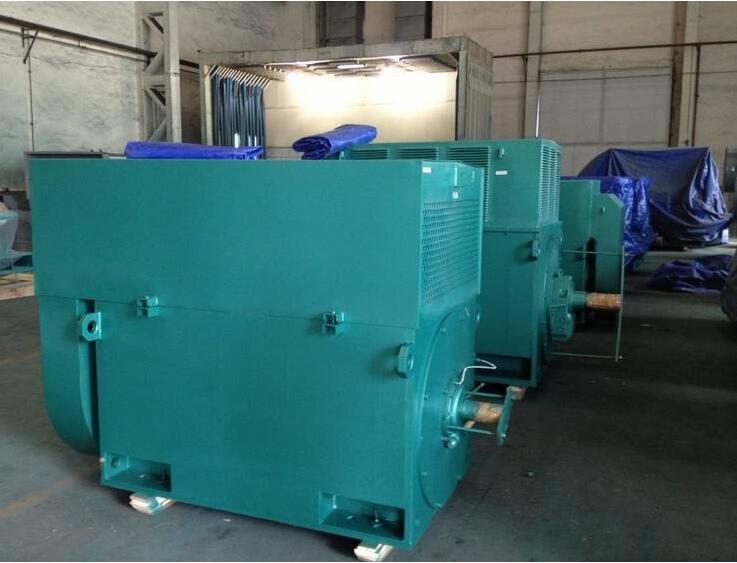 高壓電動機(jī) 高壓電動機(jī)