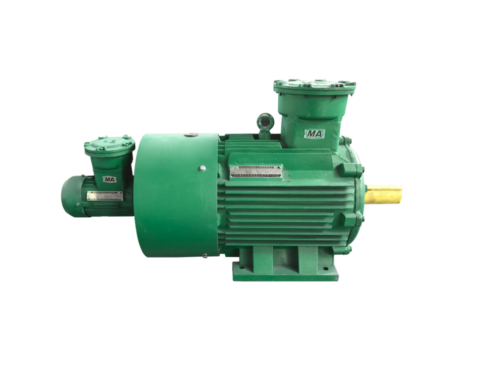 變頻防爆電機 變頻防爆電機